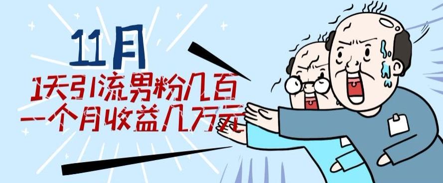 11月最新每天引流男粉300+一个月收益几万元-鼎誉项目网