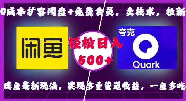 0成本扩容网盘+免费会员，卖技术，拉新，咸鱼最新玩法，实现多重管道收益，一鱼多吃，轻松日入500+-鼎誉项目网