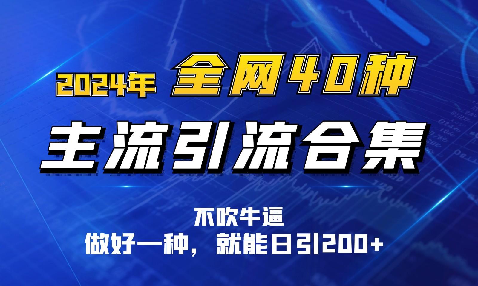 2024年全网40种暴力引流合计，做好一样就能日引100+-鼎誉项目网