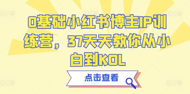 0基础小红书博主IP训练营，37天天教你从小白到KOL-鼎誉项目网