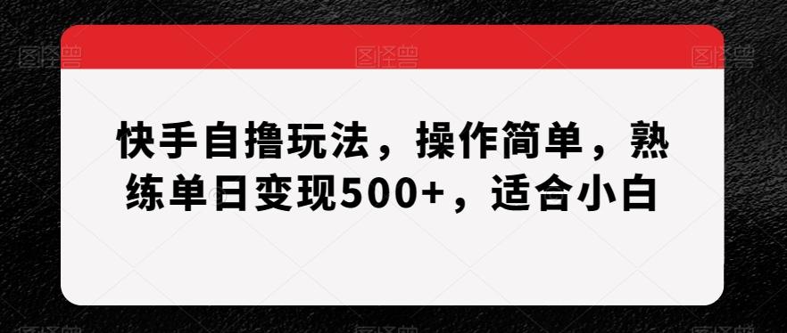 快手自撸玩法，操作简单，熟练单日变现500+，适合小白【揭秘】-鼎誉项目网