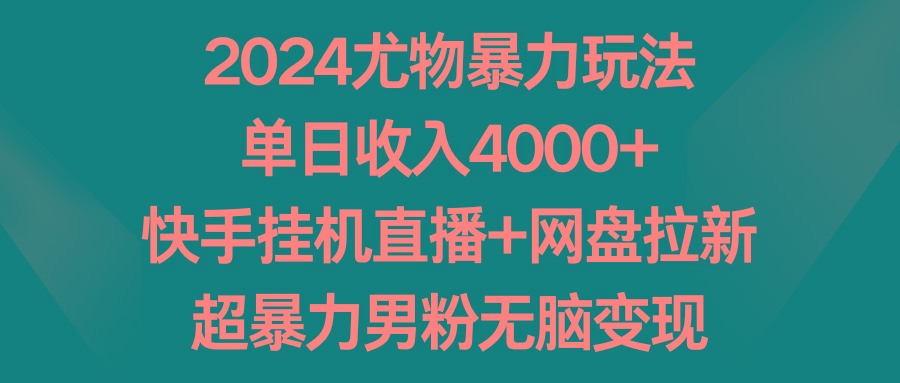 2024尤物暴力玩法 单日收入4000+快手挂机直播+网盘拉新 超暴力男粉无脑变现-鼎誉项目网