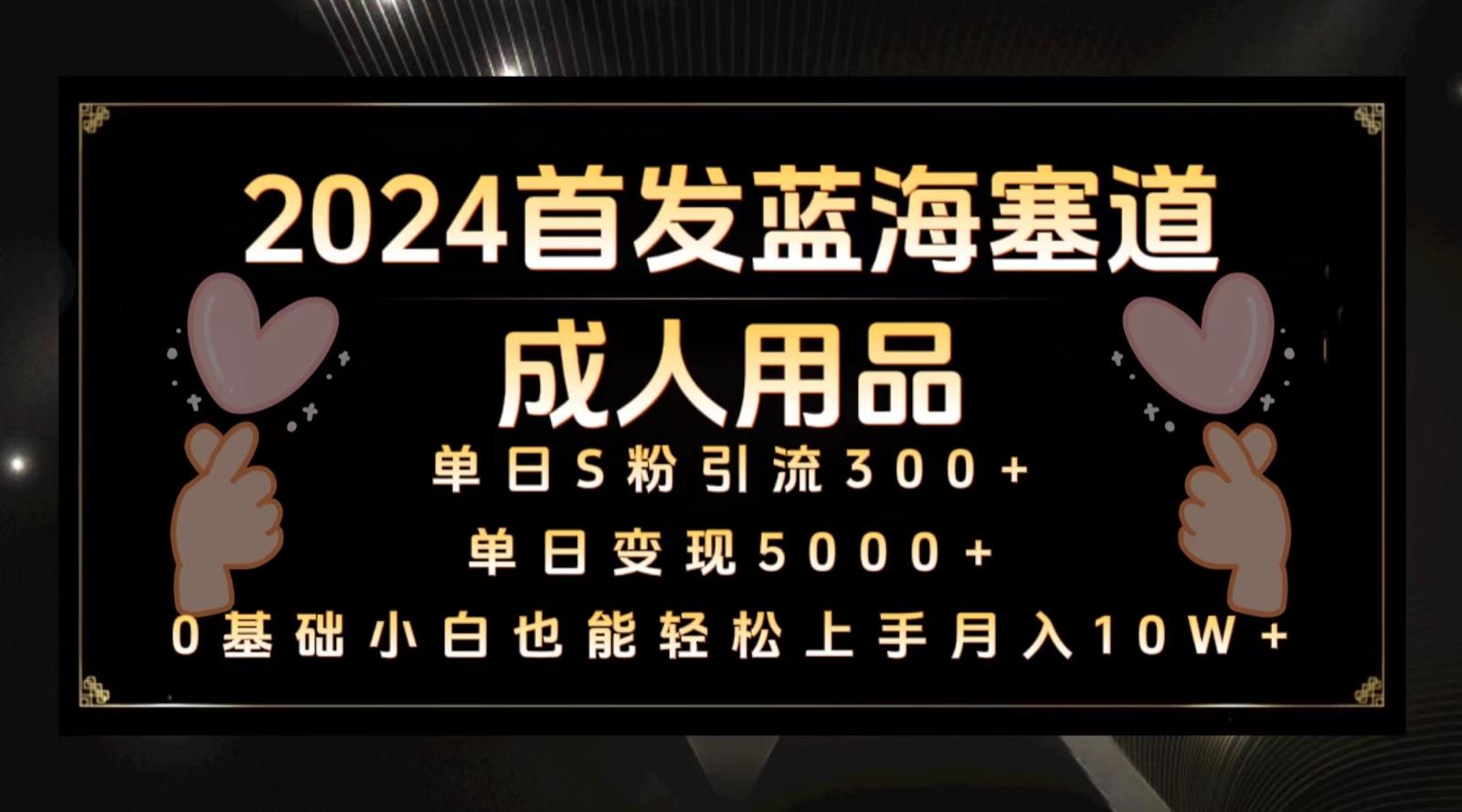 2024首发蓝海塞道成人用品,月入10W+保姆教程-鼎誉项目网