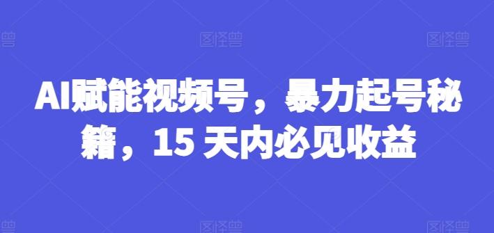 AI赋能视频号，暴力起号秘籍，15 天内必见收益【揭秘】-鼎誉项目网