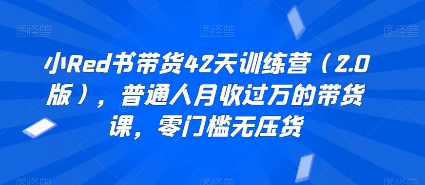 小Red书带货42天训练营(2.0版)，普通人月收过万的带货课，零门槛无压货-鼎誉项目网