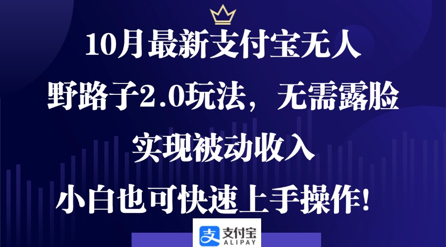 10月最新支付宝无人野路子2.0玩法，无需露脸，实现被动收入，小白也可...-鼎誉项目网