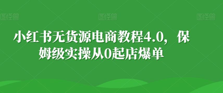 小红书无货源电商教程4.0，保姆级实操从0起店爆单【拆解】-鼎誉项目网