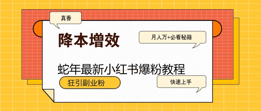 蛇年最新小红书爆粉教程，狂引副业粉，月入万+必看-鼎誉项目网
