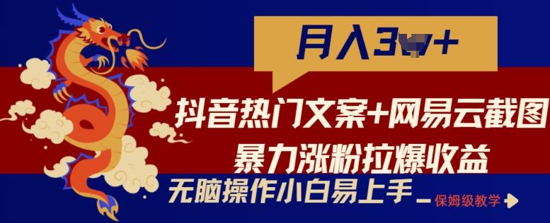 抖音热门文案+网易云截图暴力涨粉拉爆收益玩法，小白无脑操作，简单易上手【揭秘】-鼎誉项目网