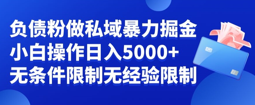 负债粉私域暴力掘金，小白操作入5000，无经验限制，无条件限制【揭秘】-鼎誉项目网