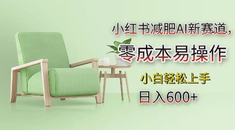 小红书减肥AI新赛道，零成本易操作，日入多张，小白轻松上手【揭秘】-鼎誉项目网