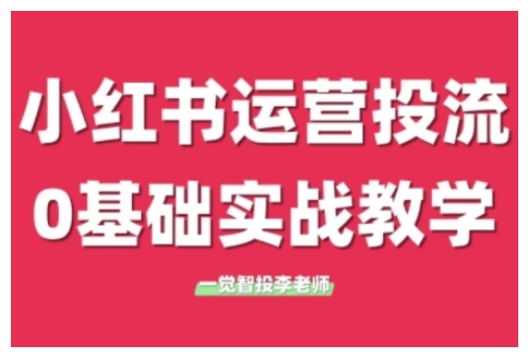 小红书运营投流，小红书广告投放从0到1的实战课，学完即可开始投放(更新)-鼎誉项目网