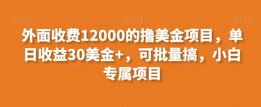 外面收费12000的撸美金项目，单日收益30美金+，可批量搞，小白专属项目-鼎誉项目网