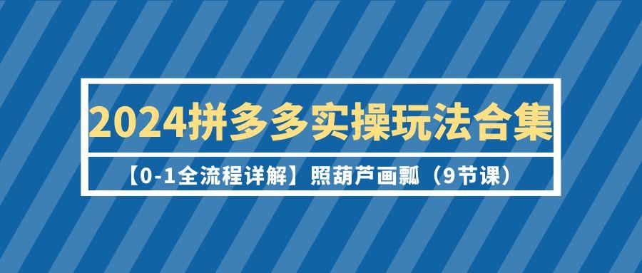 (9559期)2024拼多多实操玩法合集【0-1全流程详解】照葫芦画瓢(9节课)-鼎誉项目网