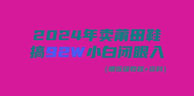 (9329期)2024年卖莆田鞋，搞了92W，小白闭眼操作！-鼎誉项目网