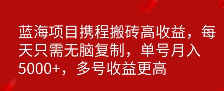 携程搬砖项目，只需每天无脑复制，月入5000+-鼎誉项目网