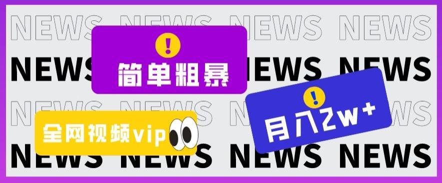 简单粗暴零成本，高回报，全网视频VIP掘金项目，月入2万＋【揭秘】-鼎誉项目网