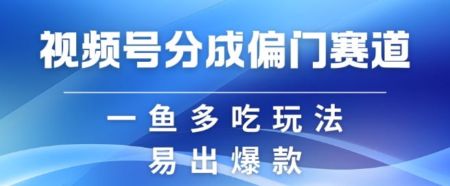 视频号创作者分成计划偏门类目，容易爆流，实拍内容简单易做【揭秘】-鼎誉项目网