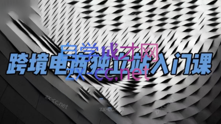 团长·跨境电商独立站入门课(2小时精华)-鼎誉项目网