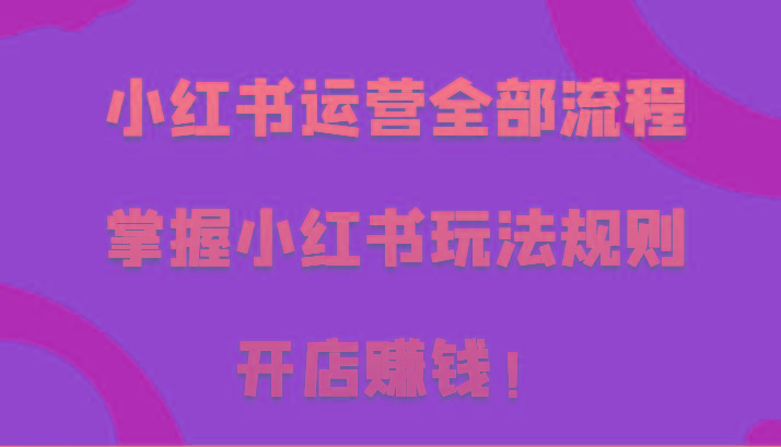 小红书运营全部流程，掌握小红书玩法规则，开店赚钱！-鼎誉项目网