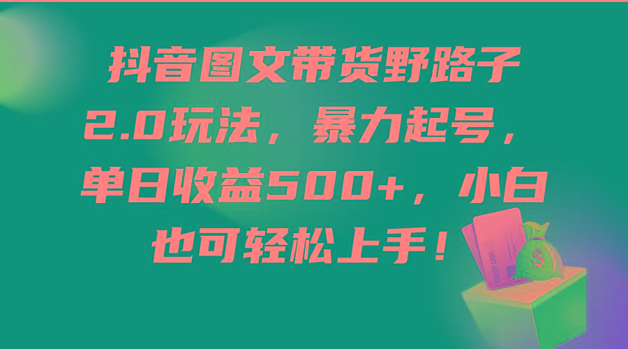 (9790期)抖音图文带货野路子2.0玩法，暴力起号，单日收益500+，小白也可轻松上手！-鼎誉项目网