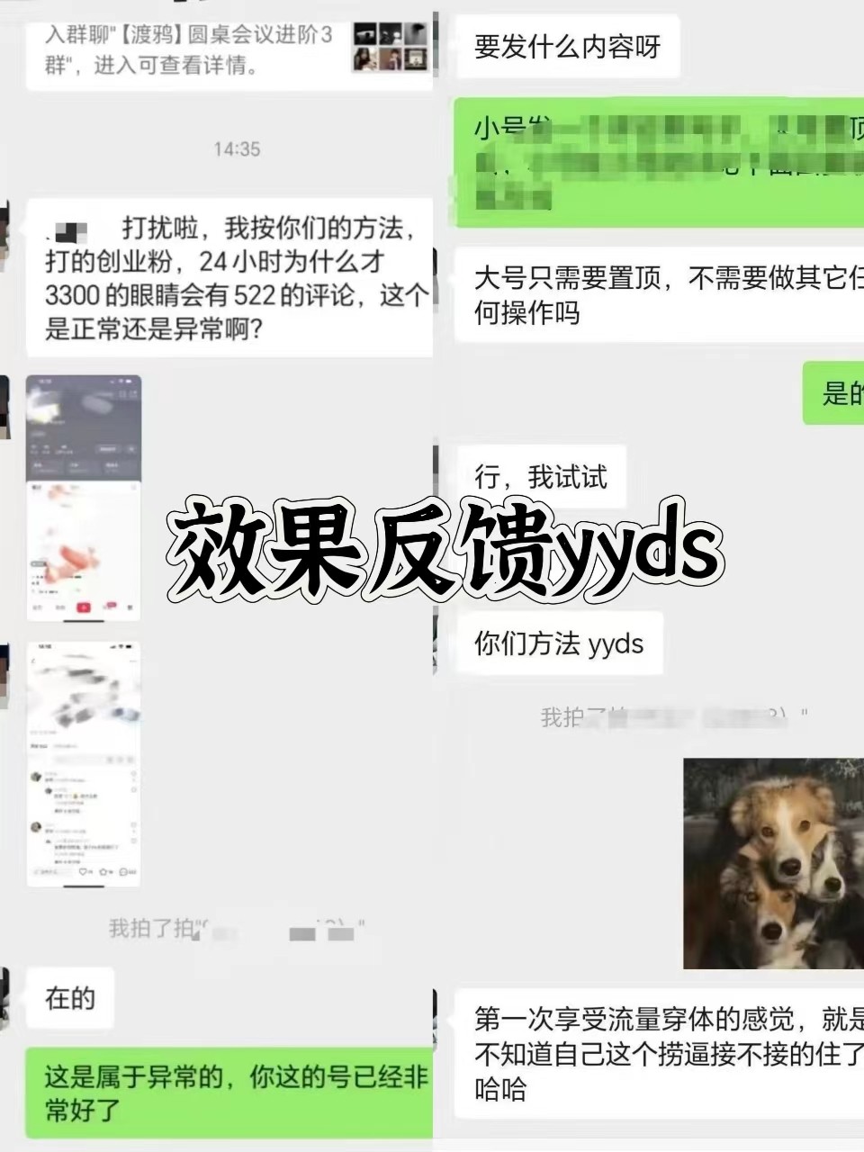 图片[3]-抖音小红书视频号全平台引流打法，全自动引流日引2000+精准客户-鼎誉项目网