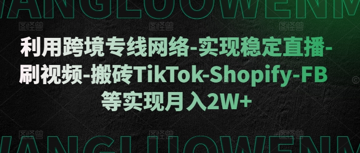 利用跨境专线网络-实现稳定直播-刷视频-搬砖TikTok-Shopify-FB等实现月入2W+【揭秘】-鼎誉项目网
