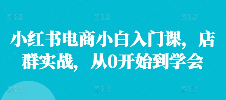 小红书电商小白入门课，店群实战，从0开始到学会-鼎誉项目网