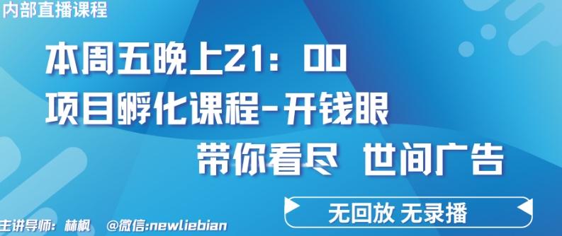 4.26日内部回放课程《项目孵化-开钱眼》赚钱的底层逻辑【揭秘】-鼎誉项目网