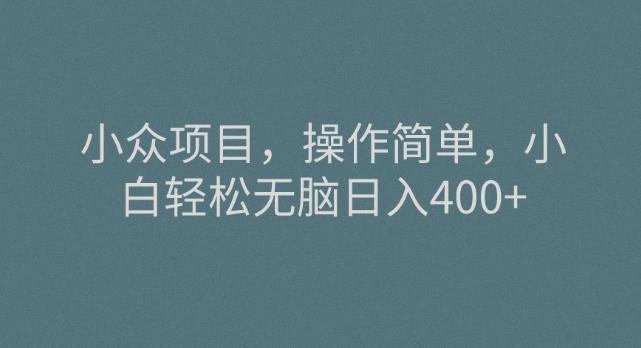 小众项目，操作简单，小白轻松无脑日入400+-鼎誉项目网
