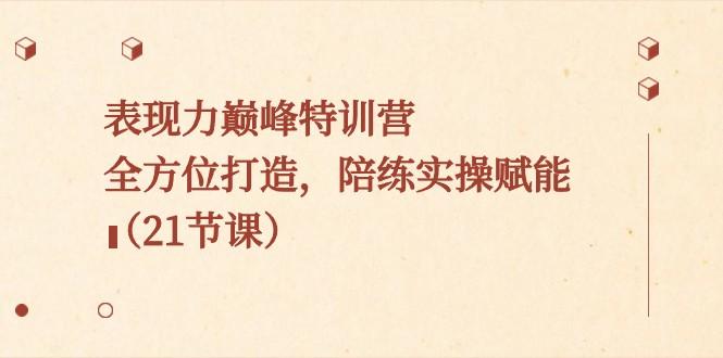 表现力巅峰特训营，全方位打造，陪练实操赋能（21节课）-鼎誉项目网