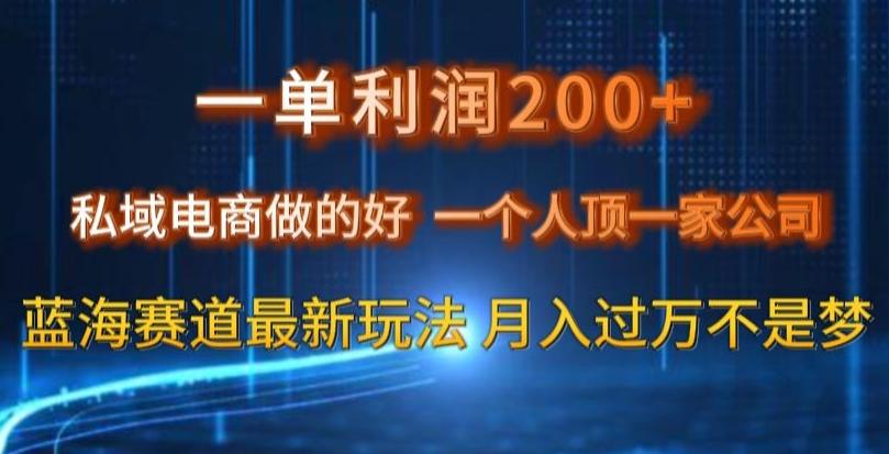 一单利润200私域电商做的好，一个人顶一家公司蓝海赛道最新玩法【揭秘】-鼎誉项目网