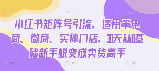 小红书矩阵号引流，适用于电商、微商、实体门店，30天从0基础新手蜕变成卖货高手-鼎誉项目网