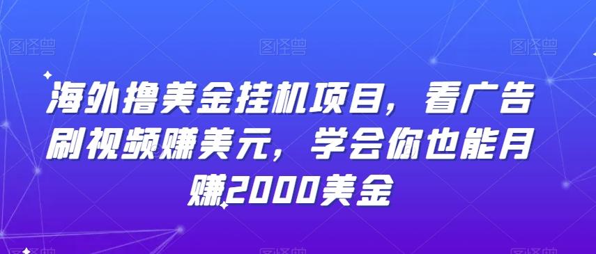 海外撸美金挂机项目，看广告刷视频赚美元，学会你也能月赚2000美金-鼎誉项目网