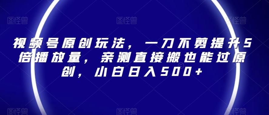 视频号原创玩法，一刀不剪提升5倍播放量，亲测直接搬也能过原创，小白日入500+【揭秘】-鼎誉项目网