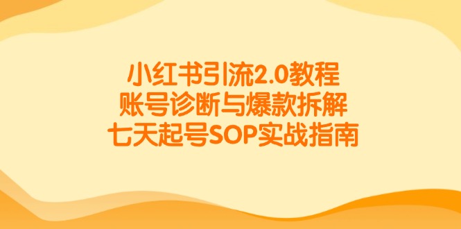 小红书引流2.0教程，账号诊断与爆款拆解，七天起号SOP实战指南-鼎誉项目网