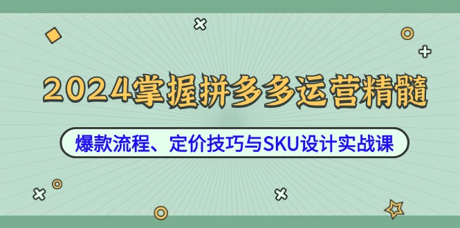 2024掌握拼多多运营精髓：爆款流程、定价技巧与SKU设计实战课-鼎誉项目网