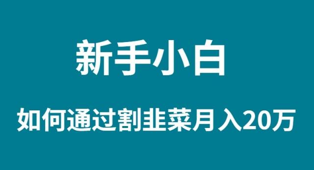 (9308期)新手小白如何通过割韭菜月入 20W-鼎誉项目网