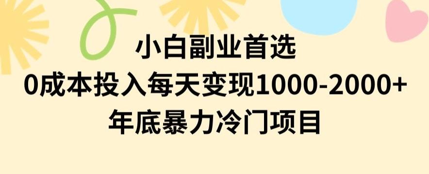 小白副业首选，0成本投入，每天变现1000-2000年底暴力冷门项目【揭秘】-鼎誉项目网