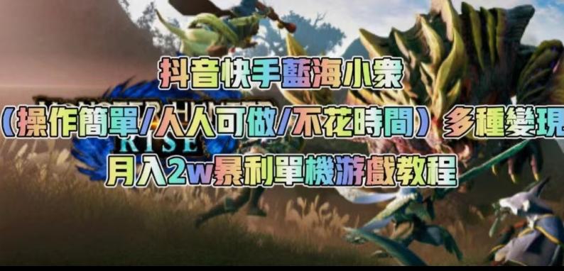 抖音快手蓝海小众（操作简单人人可做不花时间）多种变现月入2w＋暴利单机游戏教程-鼎誉项目网