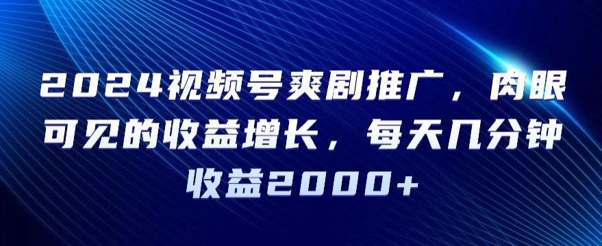 2024视频号爽剧推广，肉眼可见的收益增长，每天几分钟收益2000+【揭秘】-鼎誉项目网