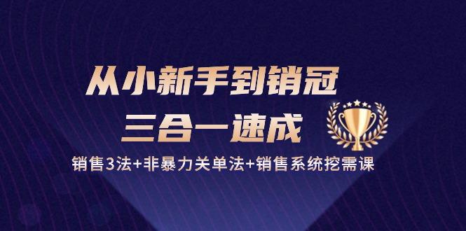 从小新手到销冠 三合一速成：销售3法+非暴力关单法+销售系统挖需课 (27节-鼎誉项目网