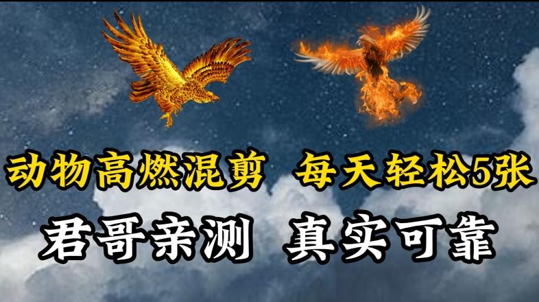 动物超燃混剪，每天轻松5张，剪辑简单大家爱看【揭秘】-鼎誉项目网