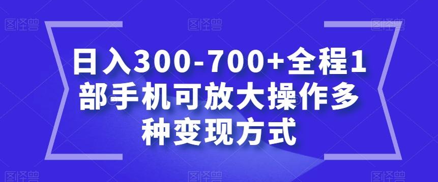 日入300-700+全程1部手机可放大操作多种变现方式【揭秘】-鼎誉项目网