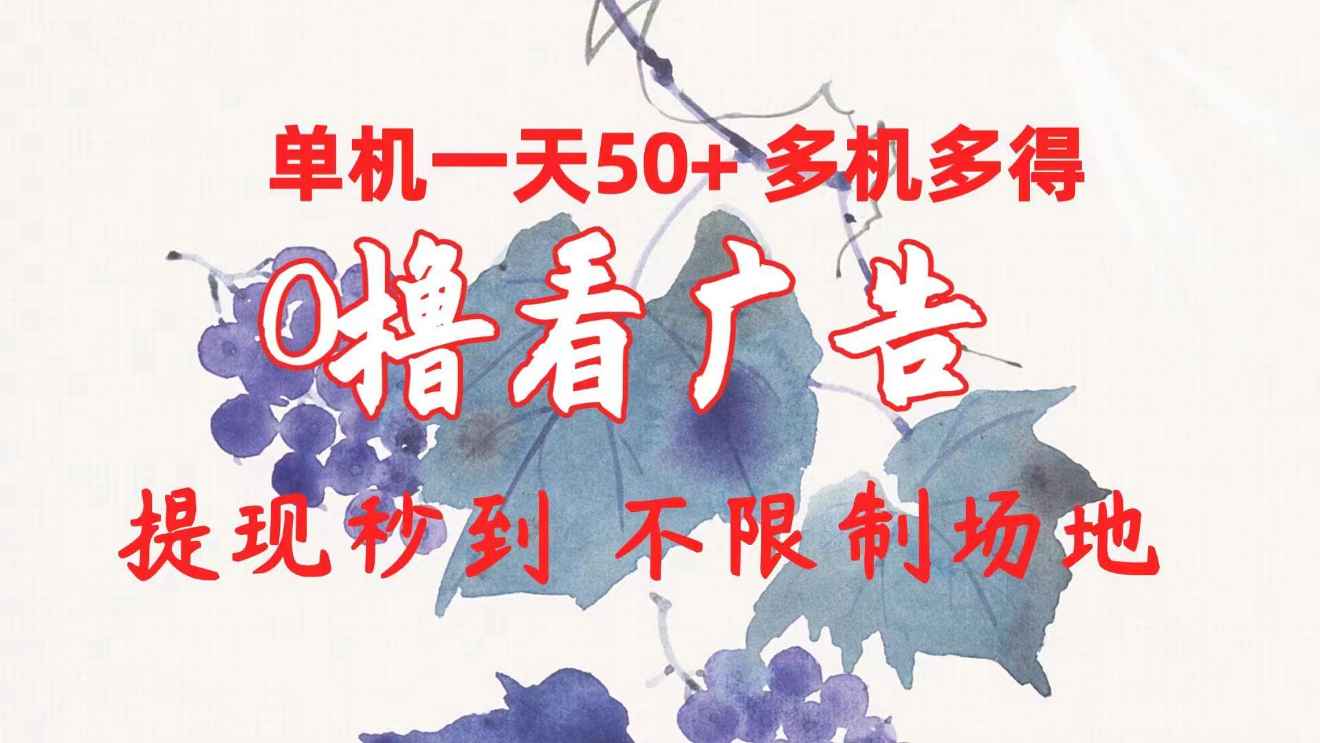 0撸看广告 单机一天50+多机多得 提现秒到 不限制场地操作-鼎誉项目网