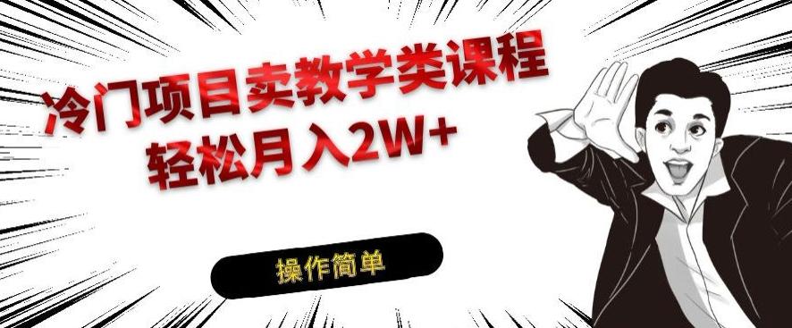 冷门项目卖教学类课程，轻松月入2W+-鼎誉项目网