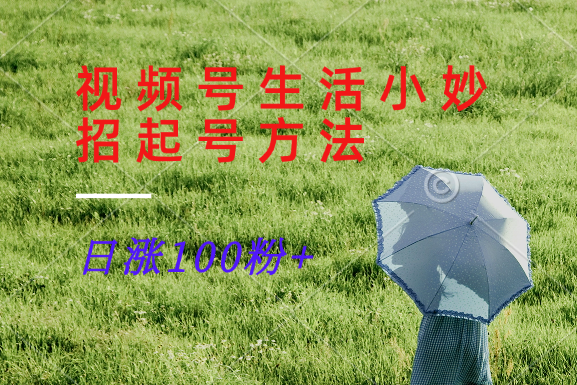 视频号生活小妙招分享赛道， 起号涨粉新方法，日涨100粉-鼎誉项目网