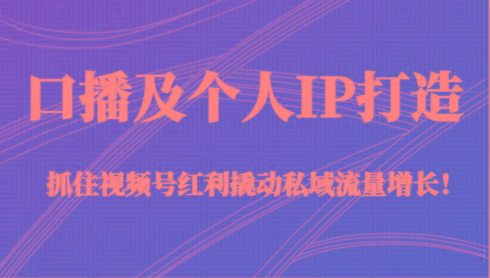 口播及个人IP打造，抓住视频号红利撬动私域流量增长！（45节课）-鼎誉项目网