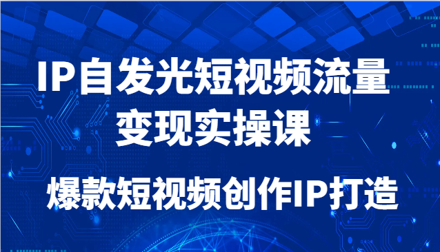 IP自发光短视频流量变现实操课,爆款短视频创作IP打造-鼎誉项目网