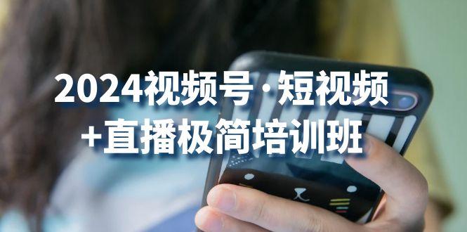 2024视频号·短视频+直播极简培训班：抓住视频号风口，流量红利-鼎誉项目网